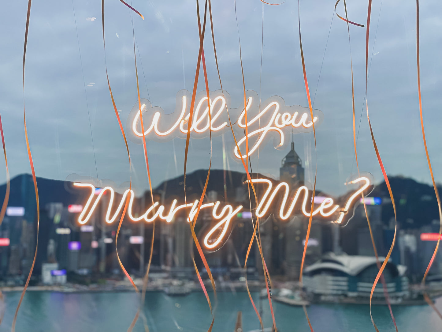 Will You Marry Me? 求婚燈牌